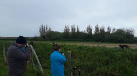 photo sortie 38